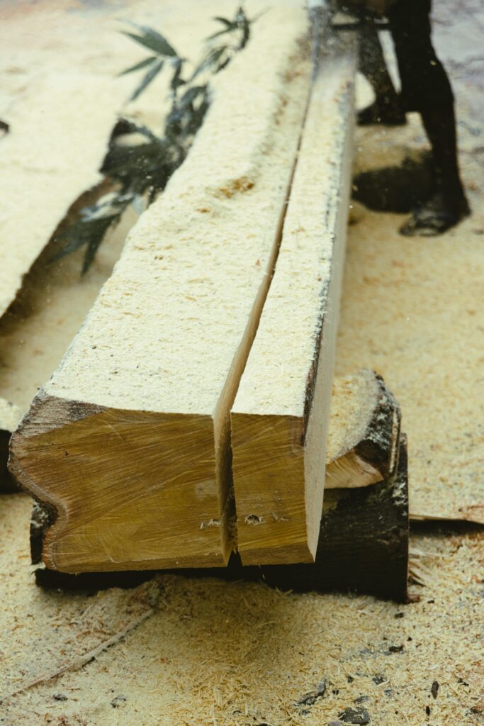 Freshly cut wooden logs with sawdust, highlighting woodworking craftsmanship and timber processing.